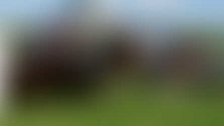 WEDNESDAY RACING TIPS