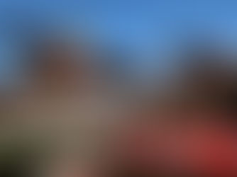 WEDNESDAY RACING TIPS