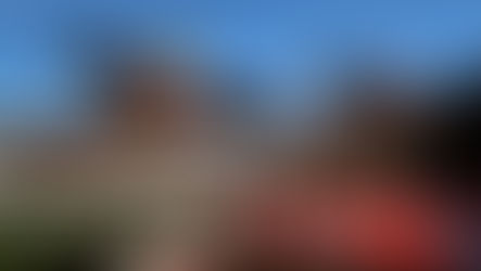 WEDNESDAY RACING TIPS