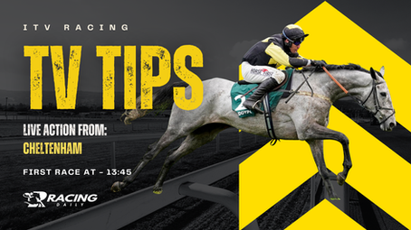 TV TIPS (FRIDAY)