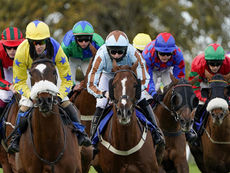 TUESDAY RACING TIPS