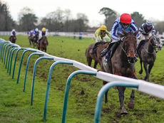 WEDNESDAY RACING TIPS