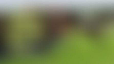 FRIDAY JUMPS RACING TIPS