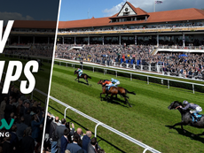 TV TIPS (THURSDAY)