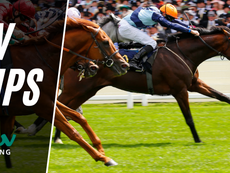 TV TIPS (SATURDAY)