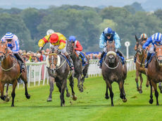 MONDAY RACING TIPS
