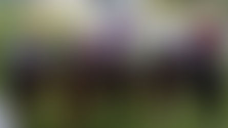 WEDNESDAY RACING TIPS