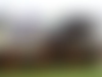 THURSDAY RACING TIPS