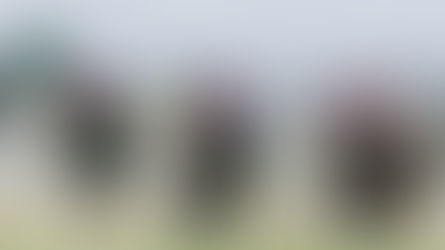 THURSDAY RACING TIPS