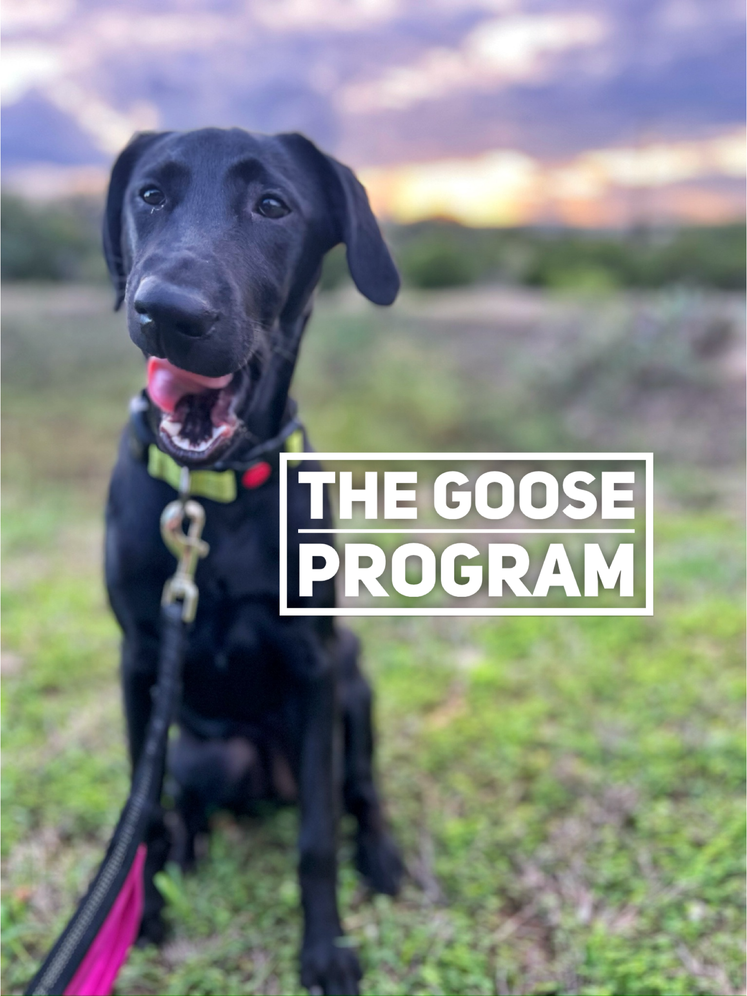 The Goose Program - for Strength, Hypertrophy & Power