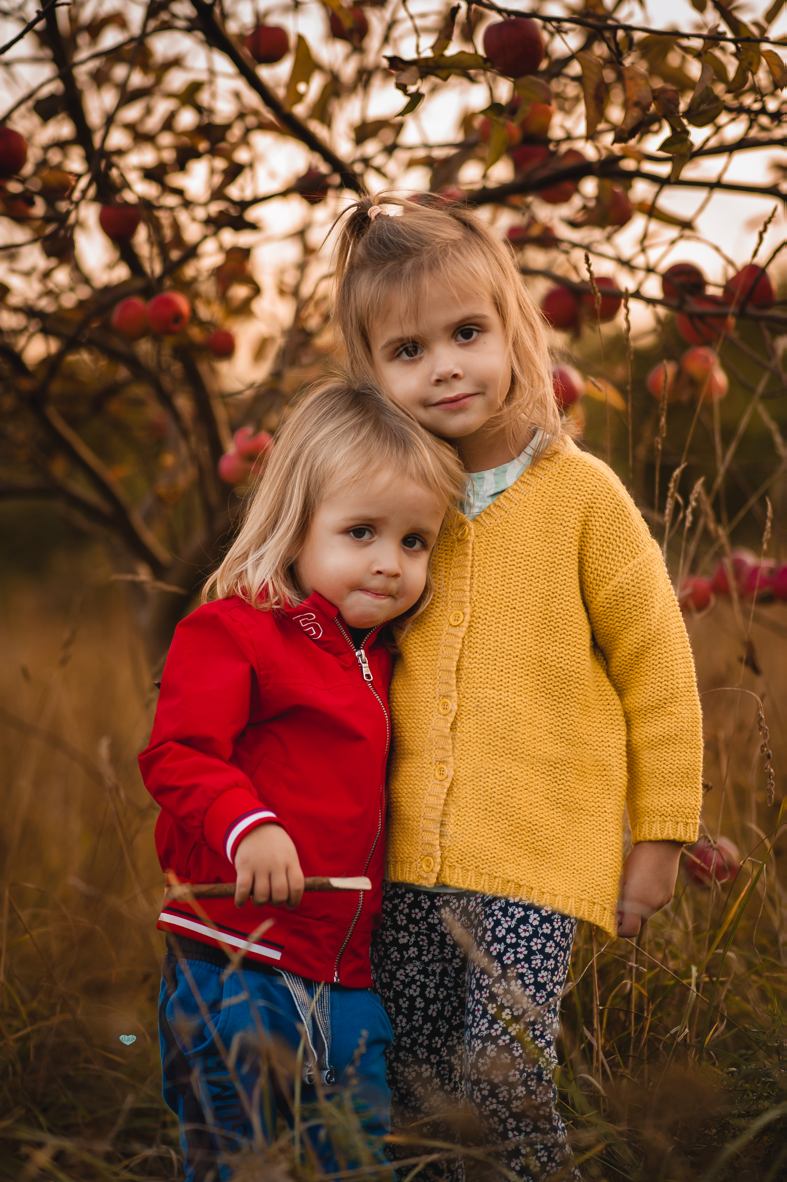 _DSC8960-Edit