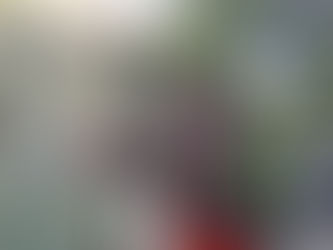 A Hidden Gem in Ruamrudee: Craft Beer Heaven at Warehouse Bar by Jaang