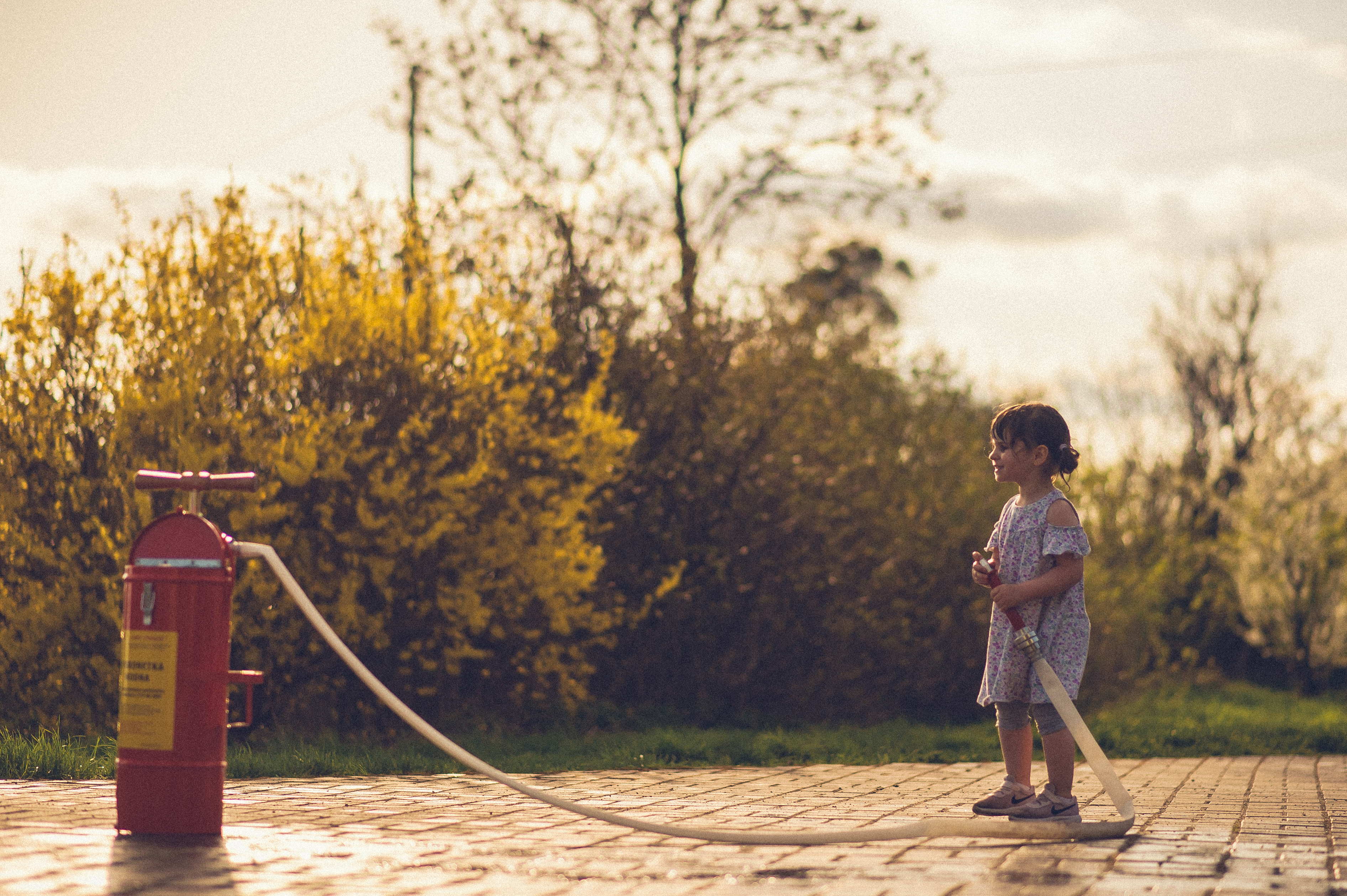 Fotografia rodzinna Szubin,Bydgoszcz