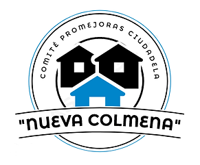 LO DEFINITIVO NUEVA COLMENA.png