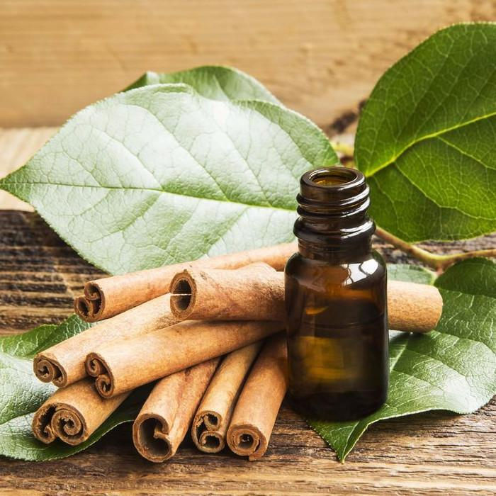 Cinnamon Leaf
