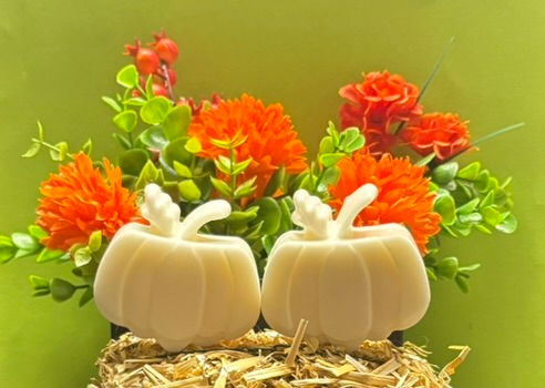 White Pumpkin with Hello Fall Scent