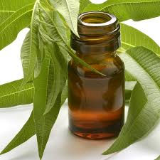 Citronella