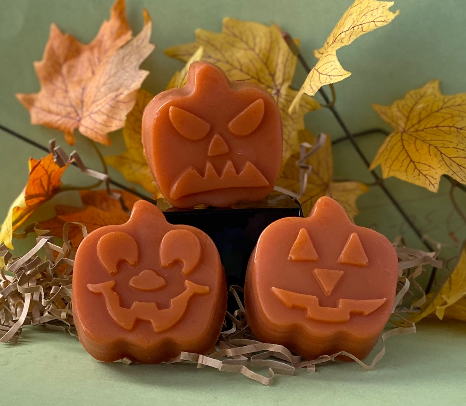 Craved Pumpkin Soap