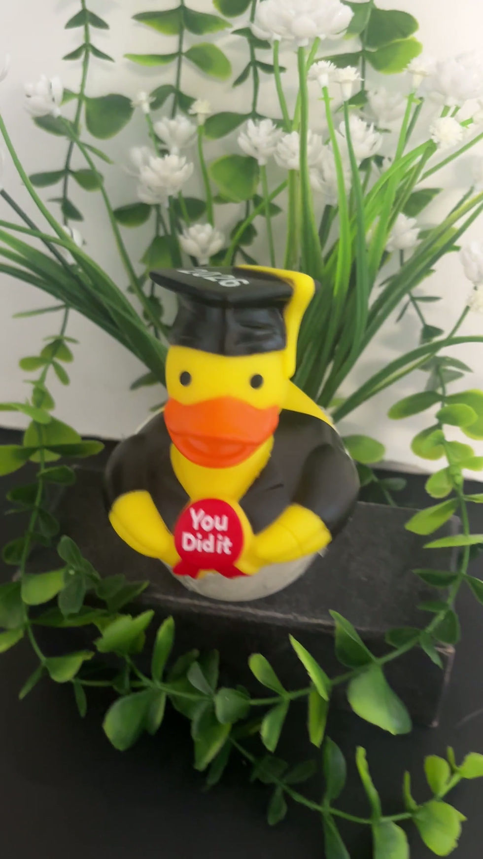 Thumbnail: 2026 Grad Duck Video
