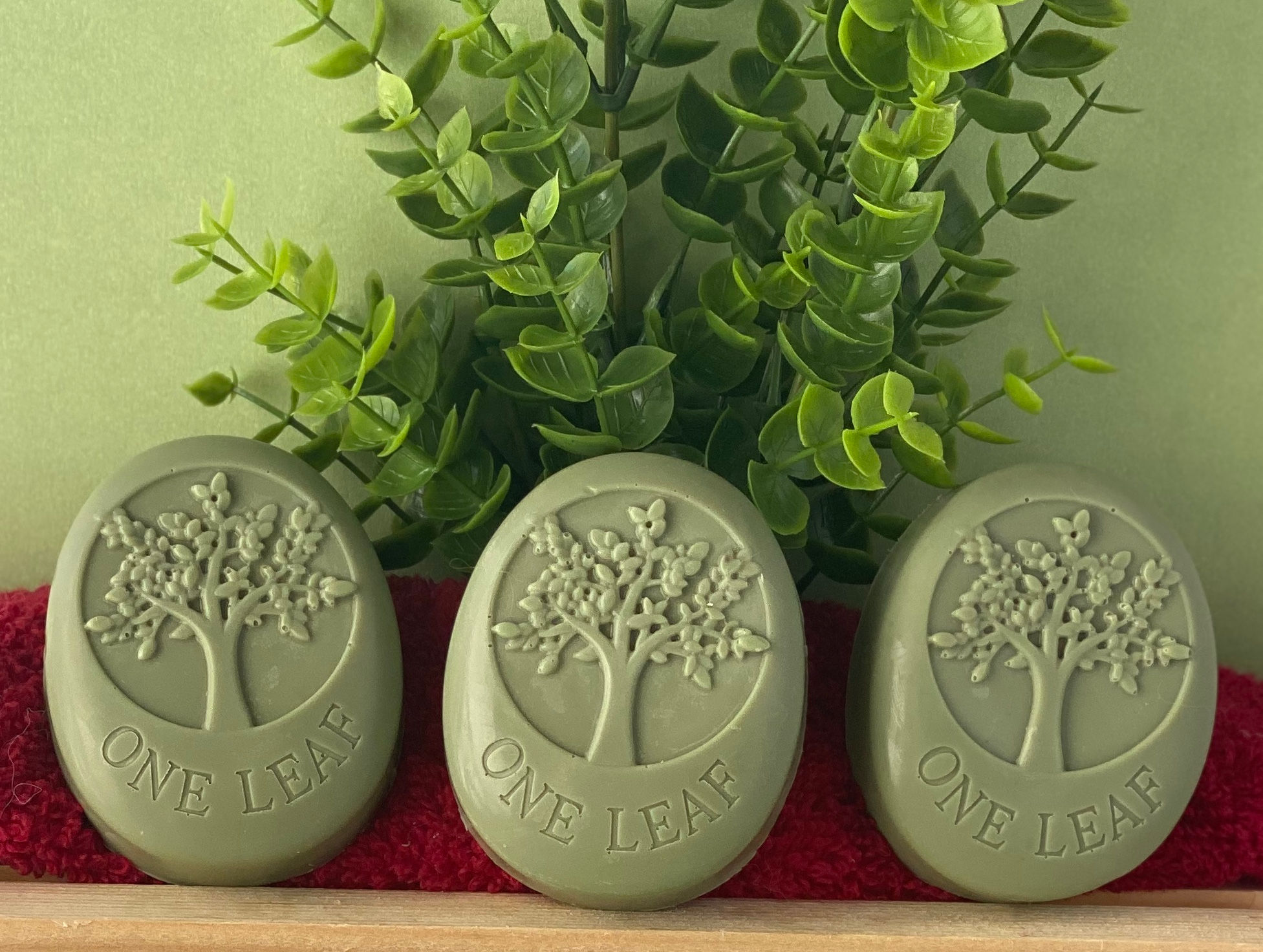 Coconut Oval Tree Shea Butter Soap