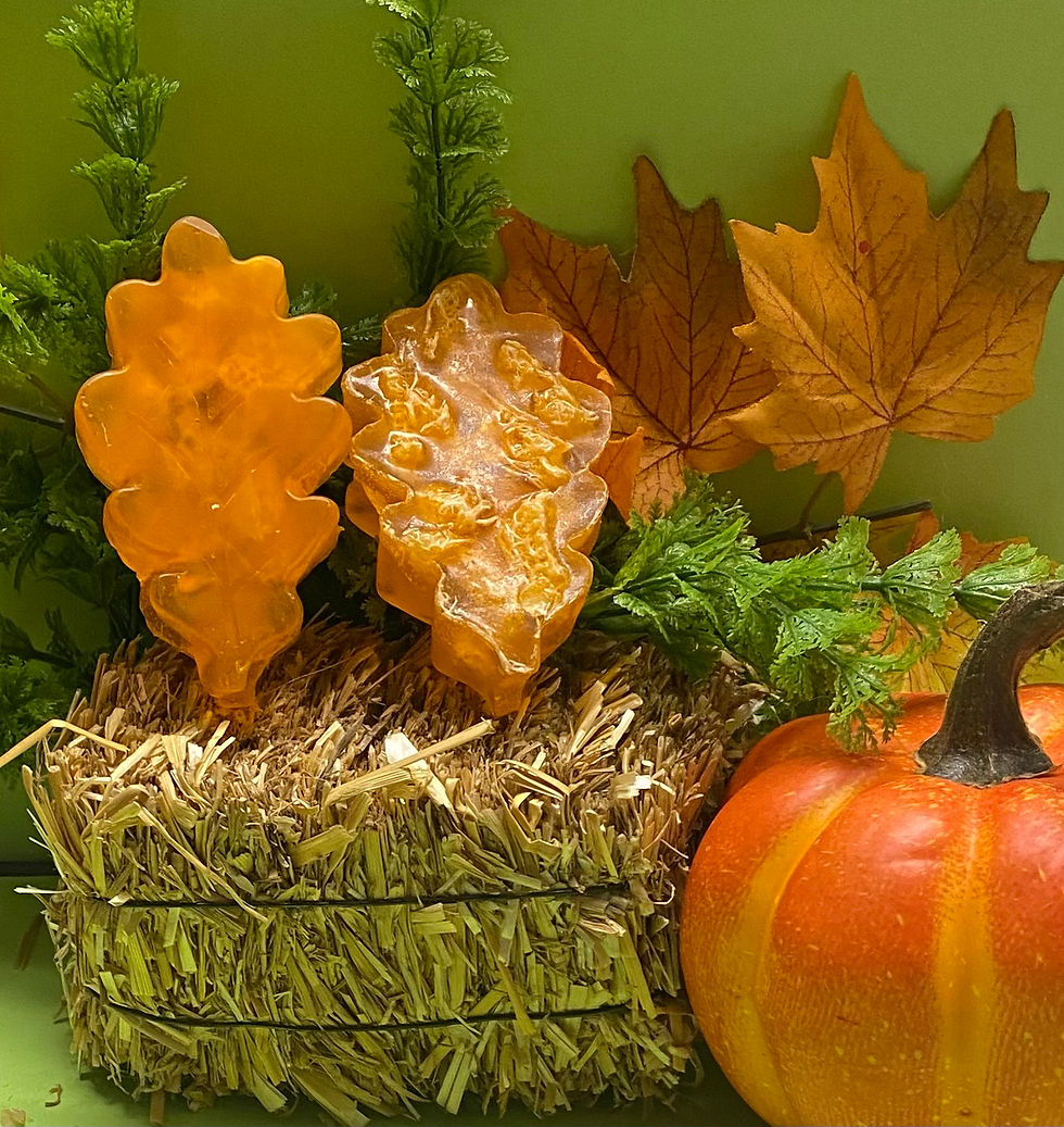 Thumbnail: Orange Loofah Soap Leaf