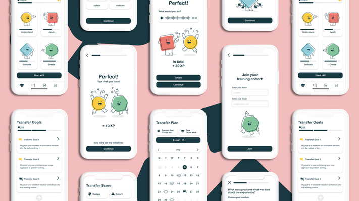 Serious-game for sustainable transfer of learning