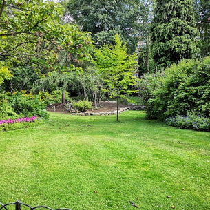 garden-clearences.jpeg