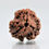 Thumbnail: Genuine Nepalese 3th Mukhi (Three-phase ) Rudraksha