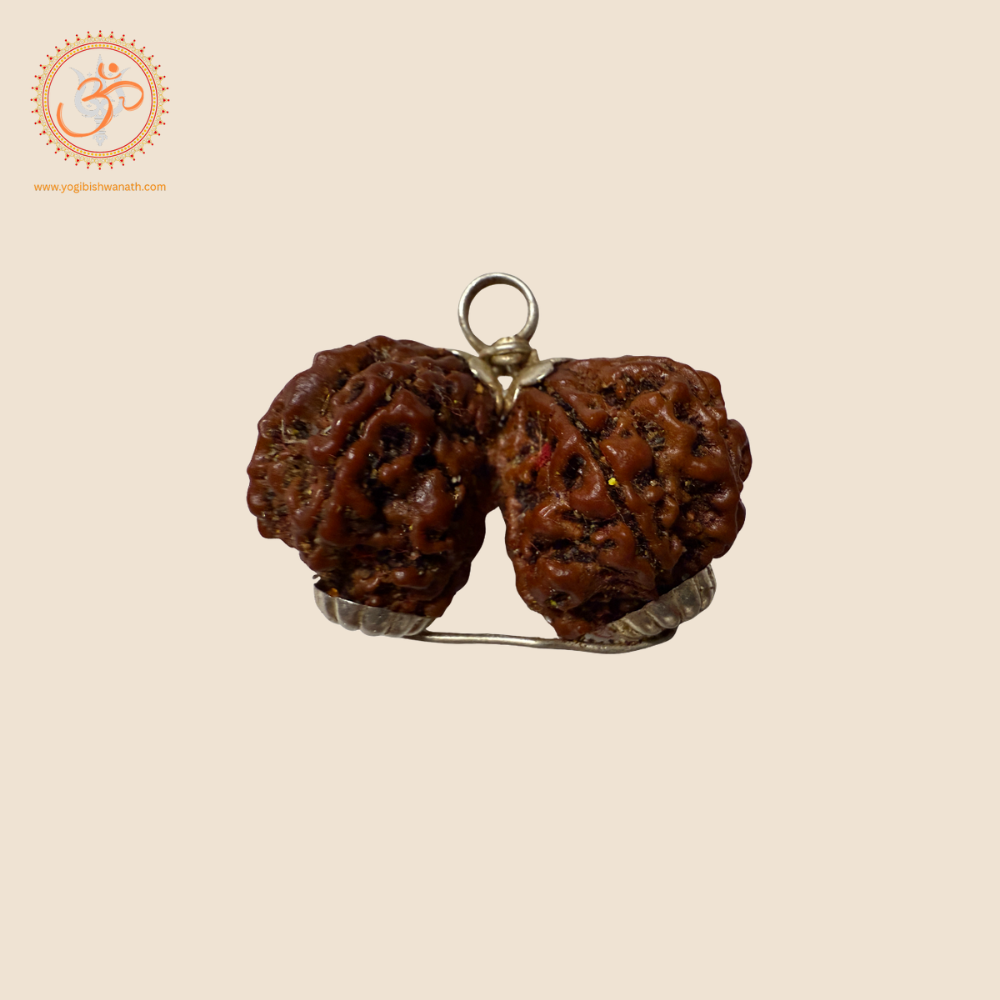 Genuine Nepalese Gauri-Shankar Rudraksha