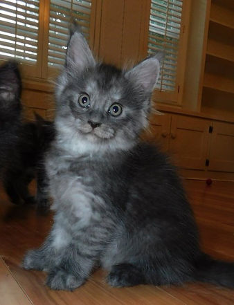 Prosper 7 weeks (1).jpg