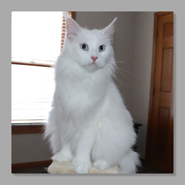 Destiny jan 2026.jpg