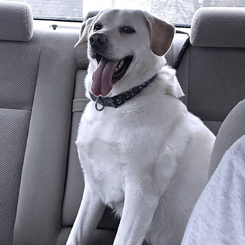 Frances at ODHS on a car ride