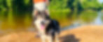 Solar-banner.jpg
