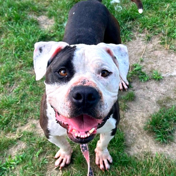 Sunday Hike 7:45 AM at ODHS