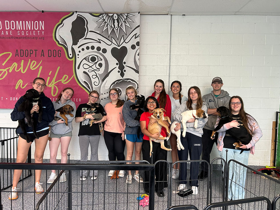 Longwood University Students Walk Dogs, Help Clean And Mingle With Rescue Pups At Old Dominion Humane Society