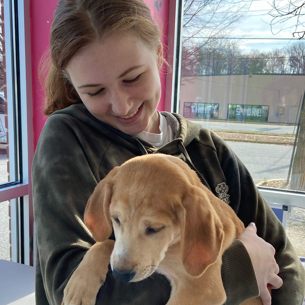 One Of Old Dominion Humane Society’s Youngest Volunteers Plays Key Role