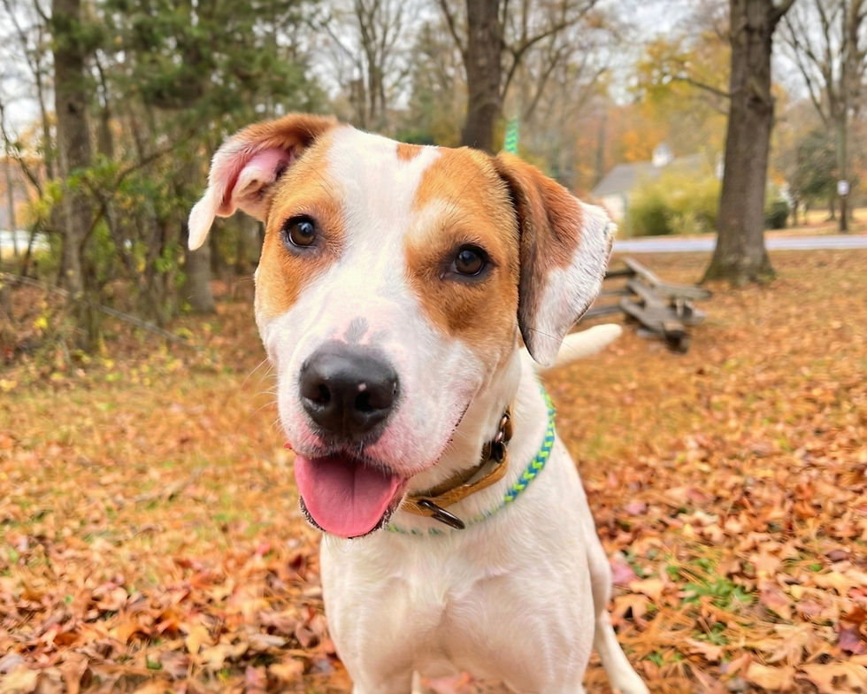 Sunday Hike 8:45 AM at ODHS