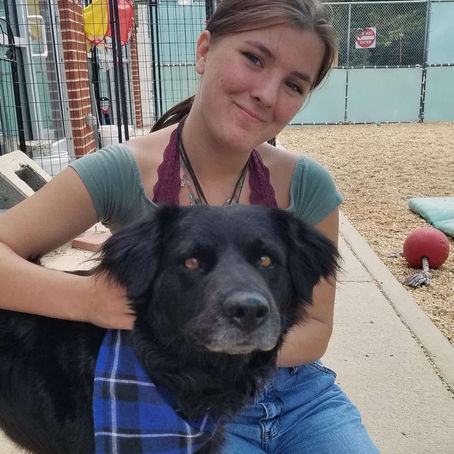 Spotslyvania Career Tech Students And Pioneer Girls Visit Old Dominion Humane Society To Learn About Rescue Dogs And Animal Care