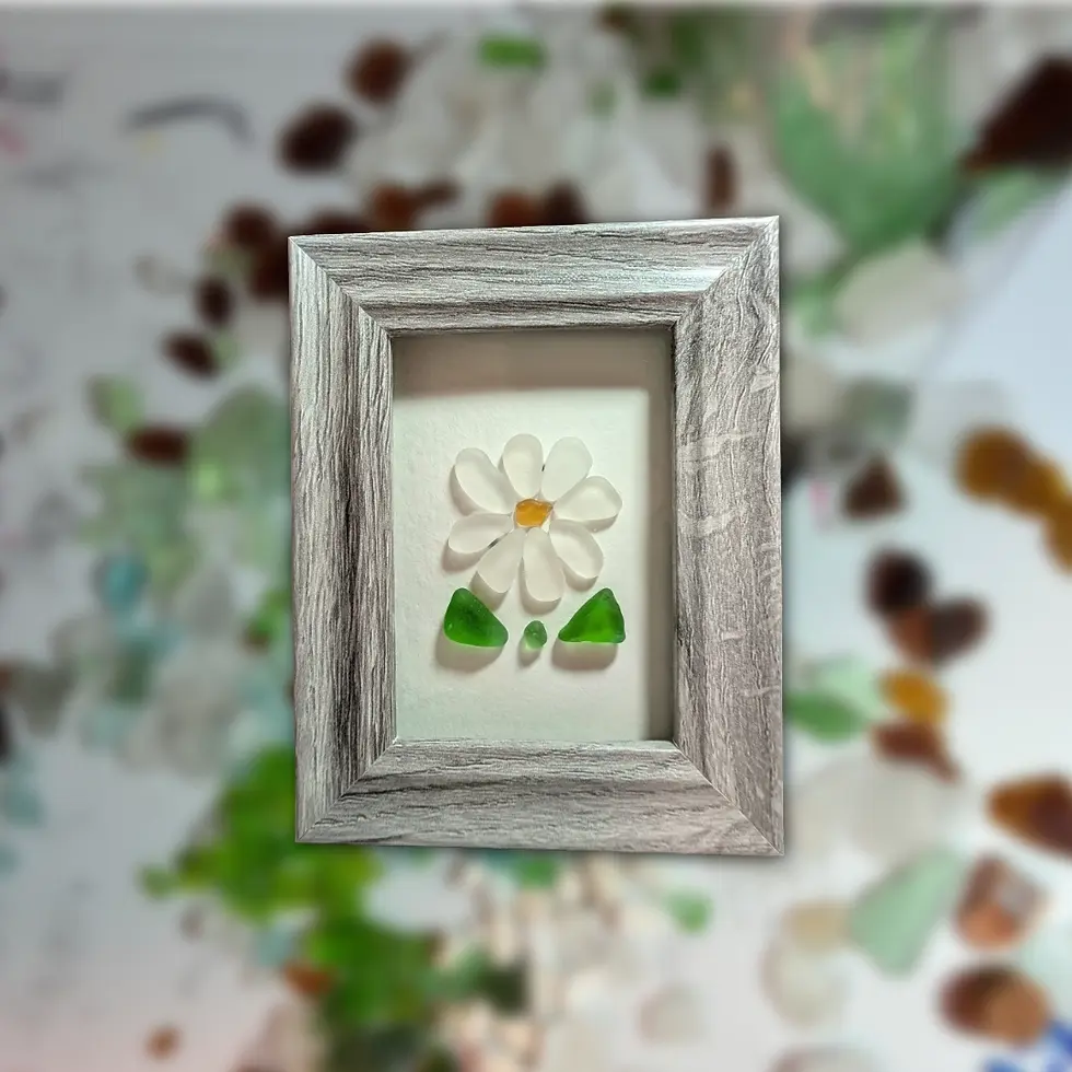 daisy dreams