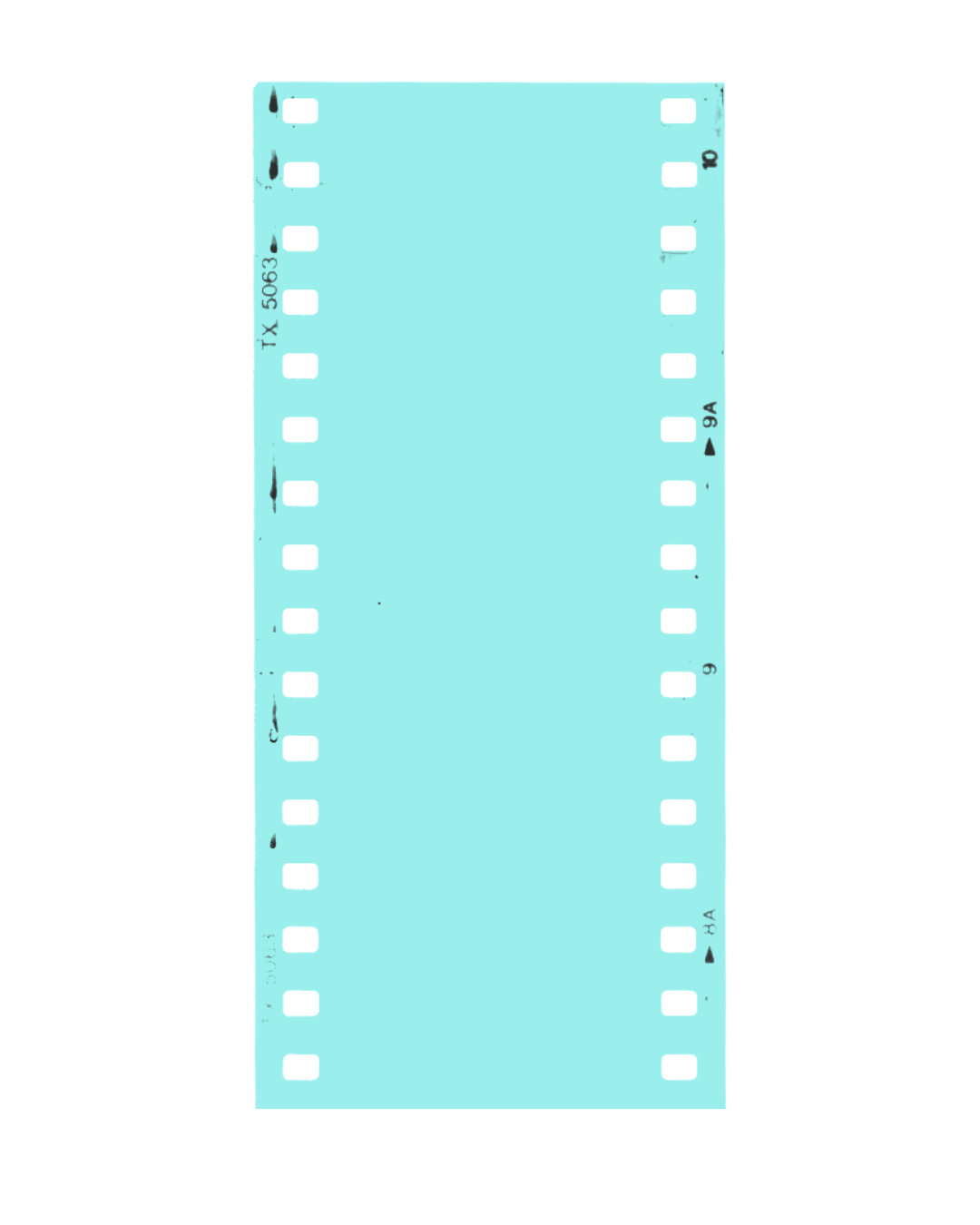 Teal film for web.png