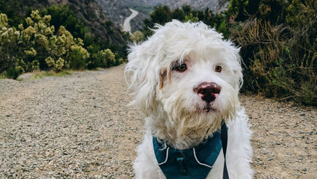 People can't give you what you want until you tell them what you want