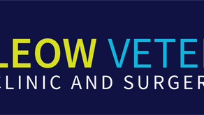 Veterinary Surgeon