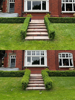 Untitled design 6.PNG