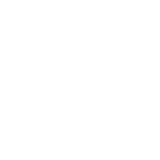 Traditional house