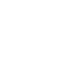 Traditional house