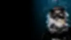 diver-test.webp