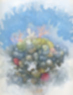 Reef Fragments