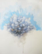 Floating Blue Reef