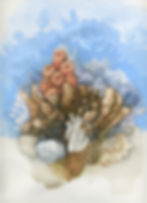 Floating Reef Garden