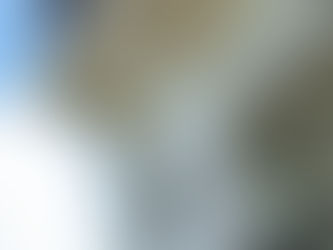 Architectural Elegance Without Maintenance: Designing with PVC Exterior Trim